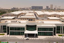DWF Building front -thumb