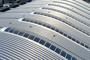 Vaulted rooflights