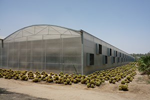 caseStudy.Fields.ListingImage.
