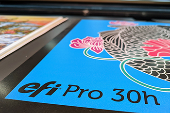 PXL_20221021_162323337 350x233