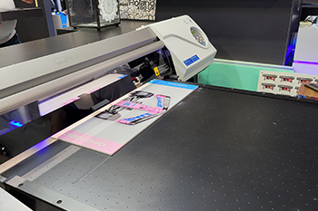 20220322_114131.jpg 350x233px