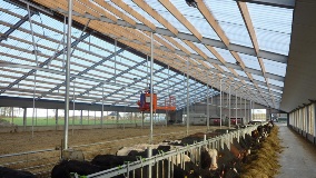 Marlon CST Heatguard 2