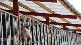 Marlon CST Heatguard 3